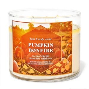 NEW Bath & Body Works Pumpkin Bonfire 3 Wick Candle